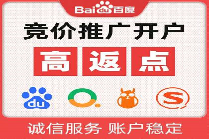 百度品牌专区推广：打造品牌形象的新途径